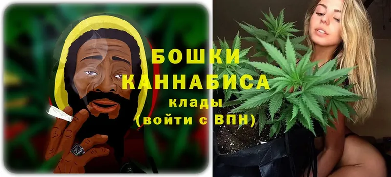 Конопля SATIVA & INDICA  Избербаш 